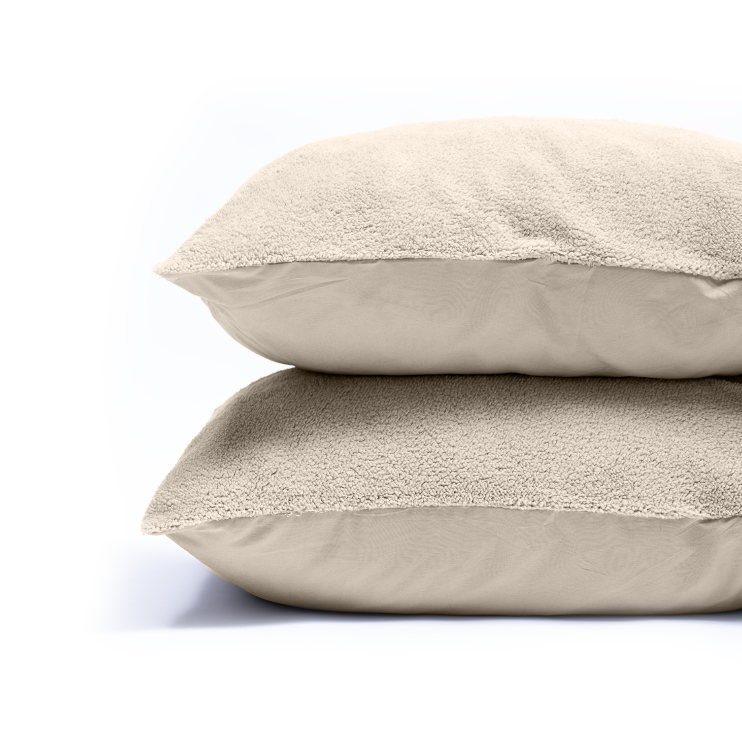 Teddy Pillowcase Set of 2 - Cream