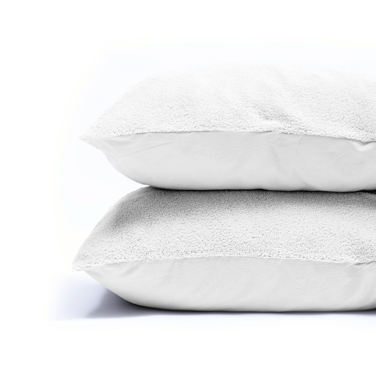 Teddy Pillowcase Set of 2 - White
