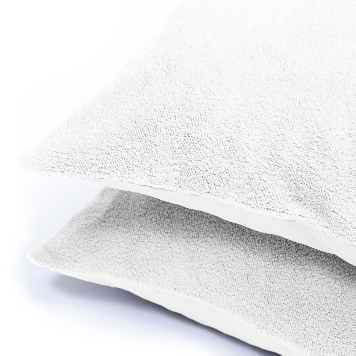 Teddy Pillowcase Set of 2 - White