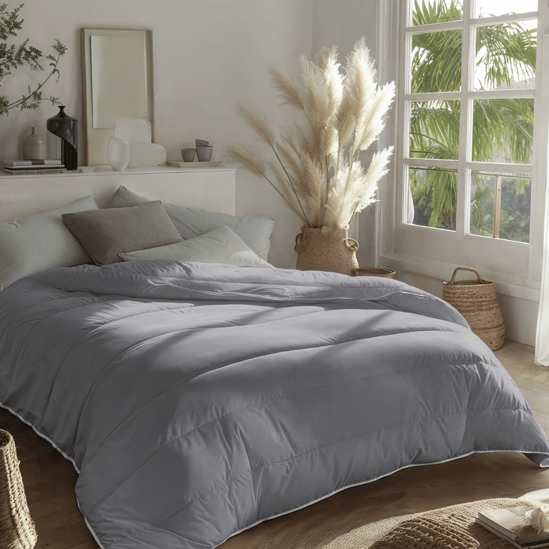 Zelesta Royalbed - Anthracite