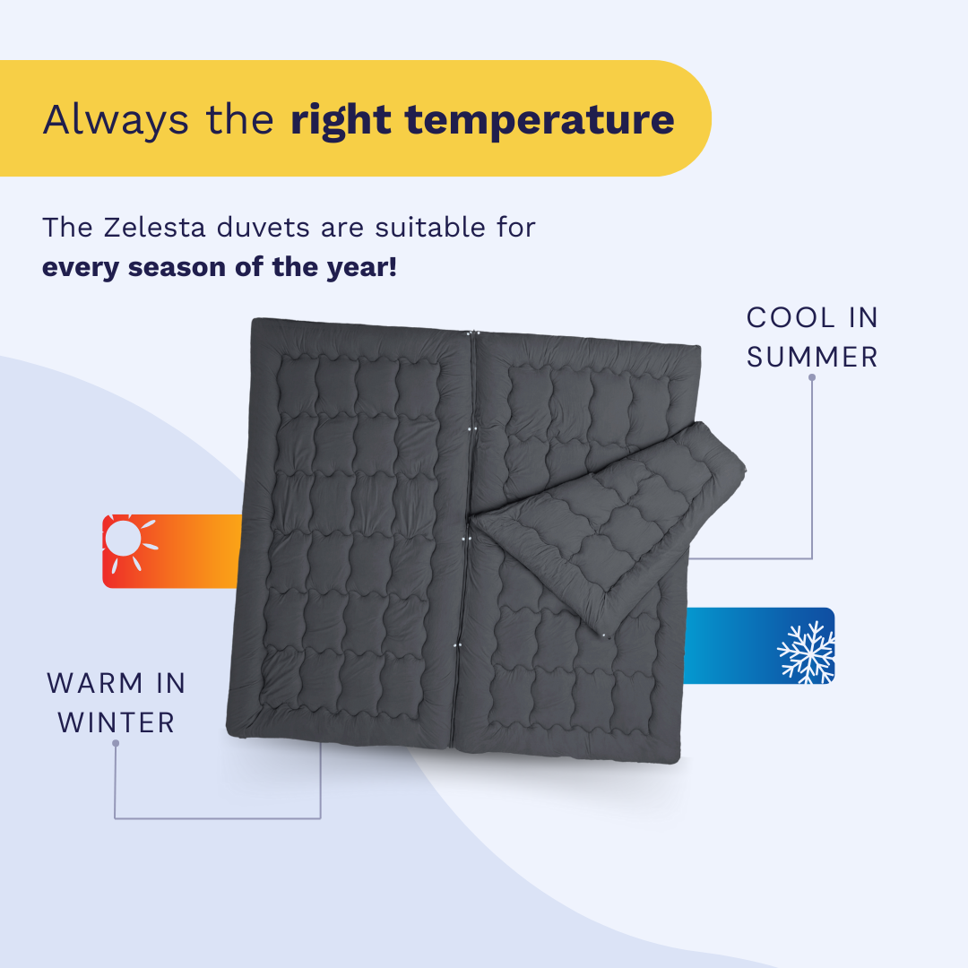 Zelesta Flexibed Anthracite
