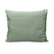 Zelesta Teddy Groovebed Pillowcase Set of 2 - Green
