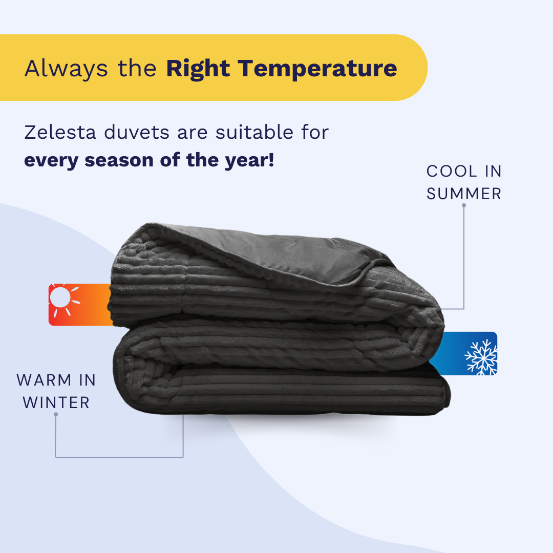 Zelesta Groovebed - Anthracite