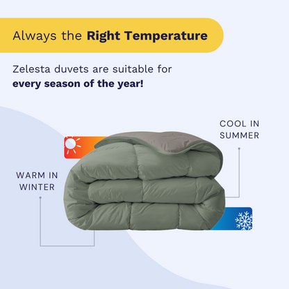 Zelesta Royalbed - Tender Grey & Pastel Green