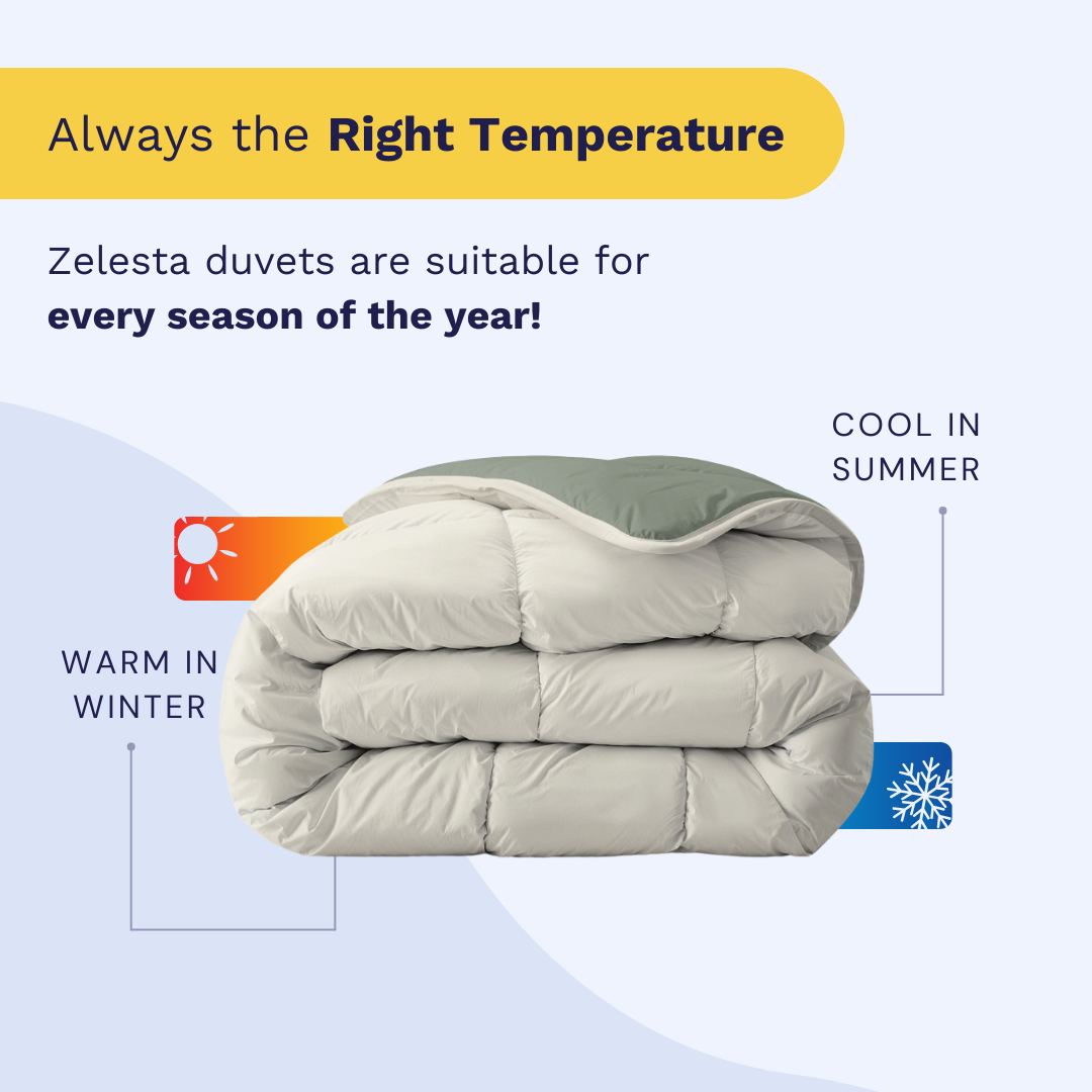 Zelesta Royalbed - Green & Cream