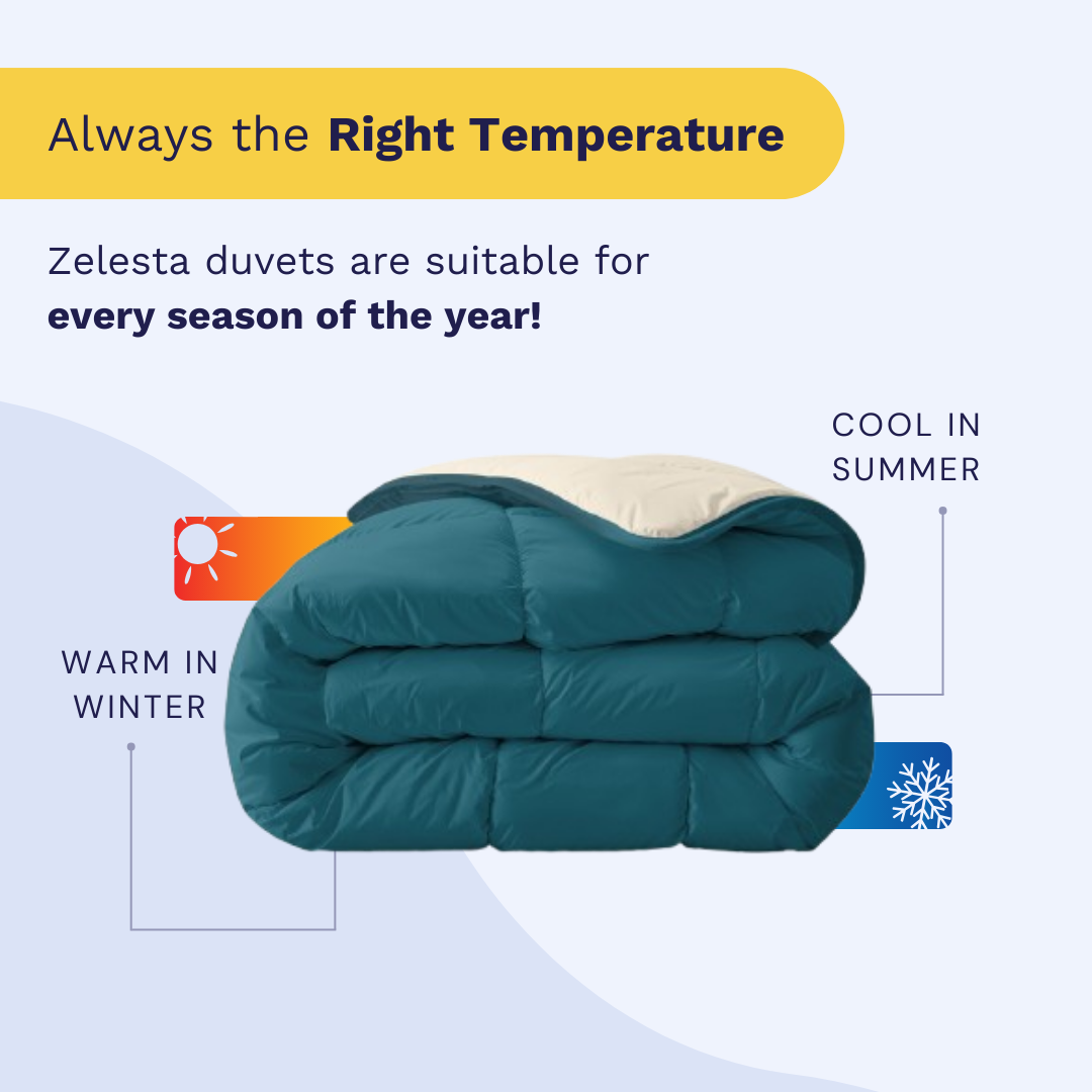 Zelesta Royalbed - Petrol & Sand Beach