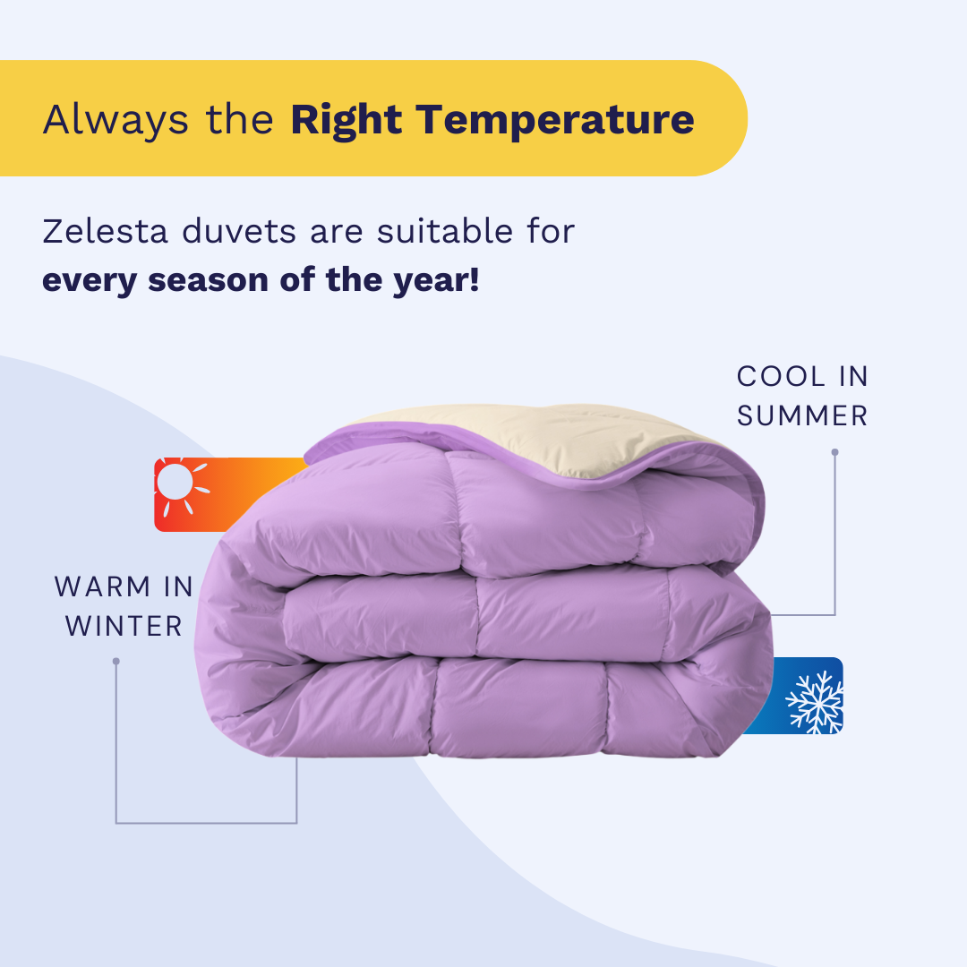 Zelesta Royalbed - Purple & Sand Beach