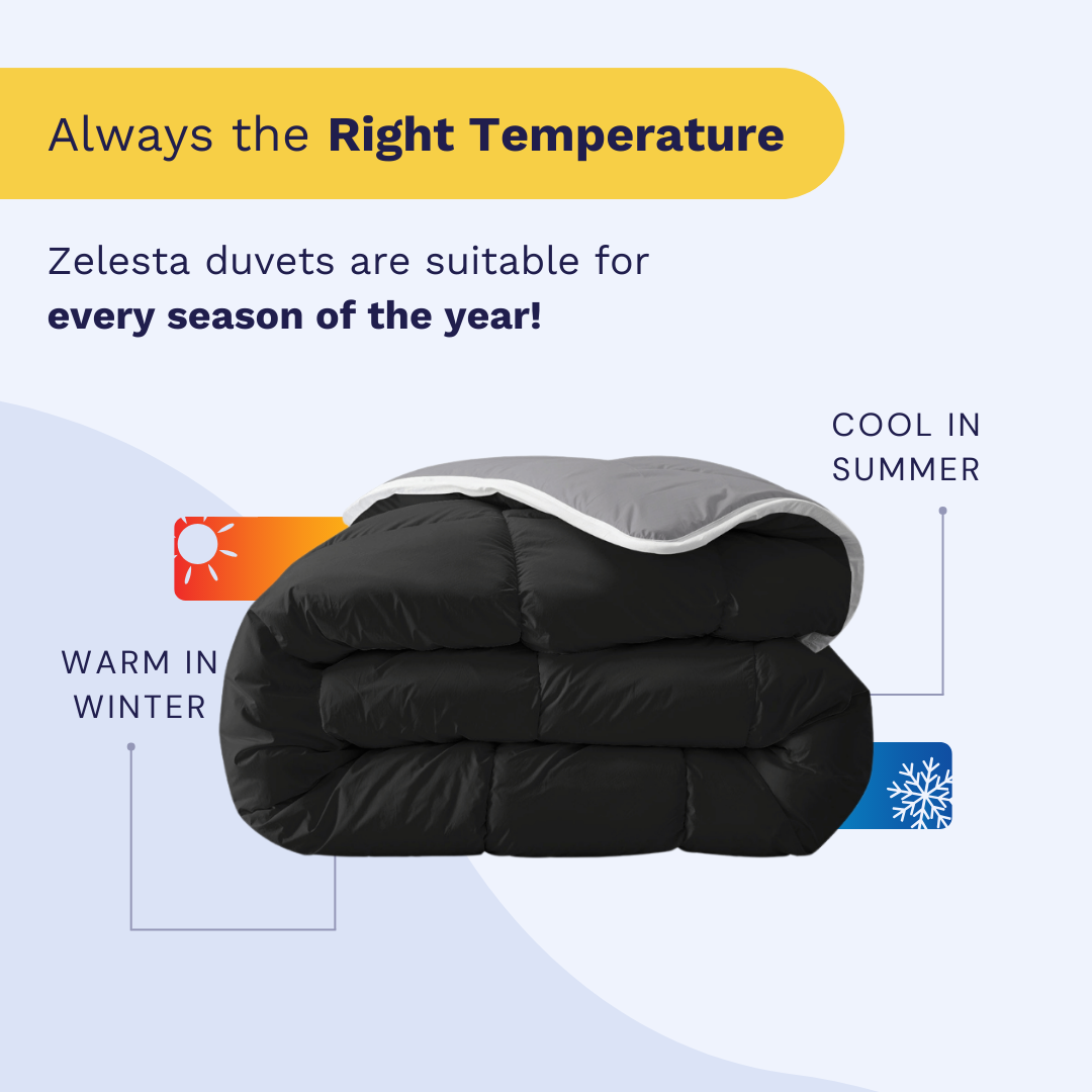 Zelesta Royalbed - Black & Anthracite