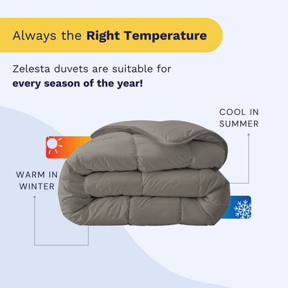 Zelesta Royalbed - Tender Grey
