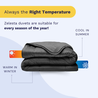 Zelesta Velvetbed - Anthracite