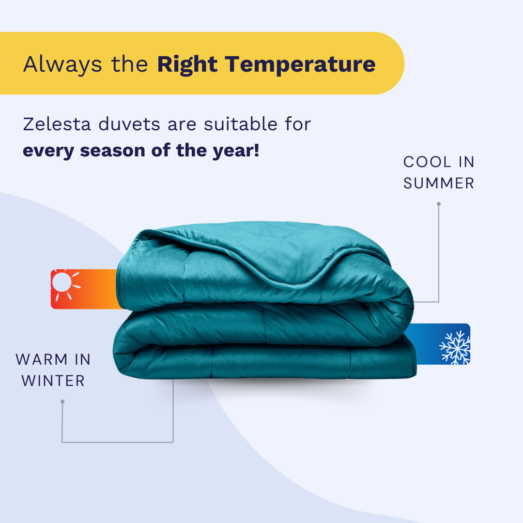 Zelesta Velvetbed - Petrol